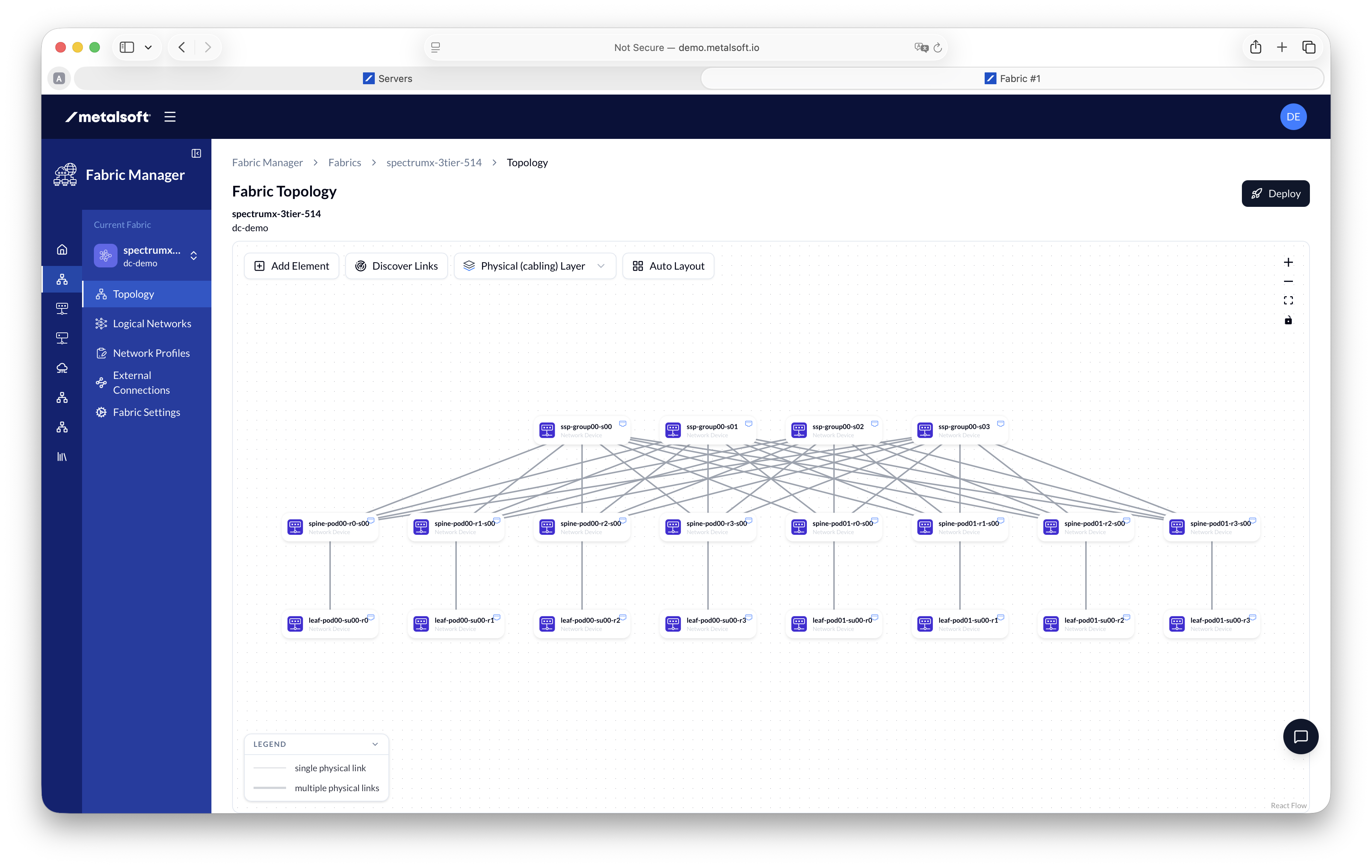 MetalSoft Fabric Manager - Fabric view links discovered